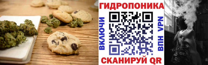 купить наркоту  Кондрово  МЕГА ссылки  Cannafood конопля 
