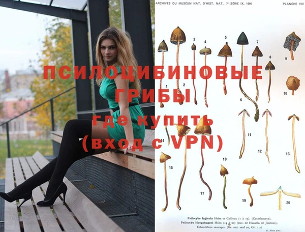 тгк Бронницы