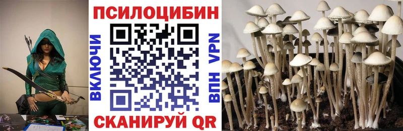 Псилоцибиновые грибы мухоморы  OMG   Кондрово 